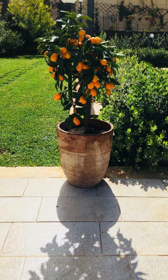 Mastrissa Country House Διαμέρισμα Ταορμίνα Εξωτερικό φωτογραφία