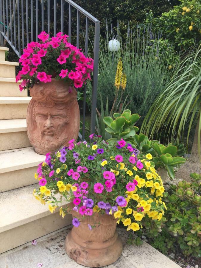 Mastrissa Country House Διαμέρισμα Ταορμίνα Εξωτερικό φωτογραφία